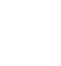 Golden Silk Logo White