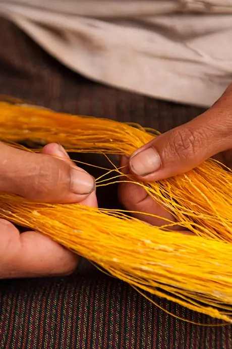 Golden Silk Thread - Taken by Conor Wall