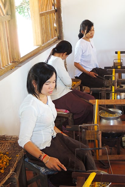 Women at Golden Silk Thread Extraction